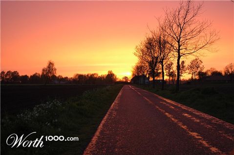 Photography by RealArt