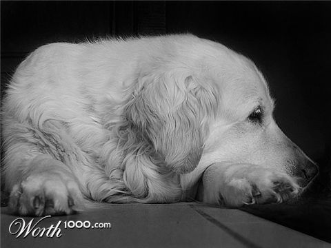 Photography by KittyB
