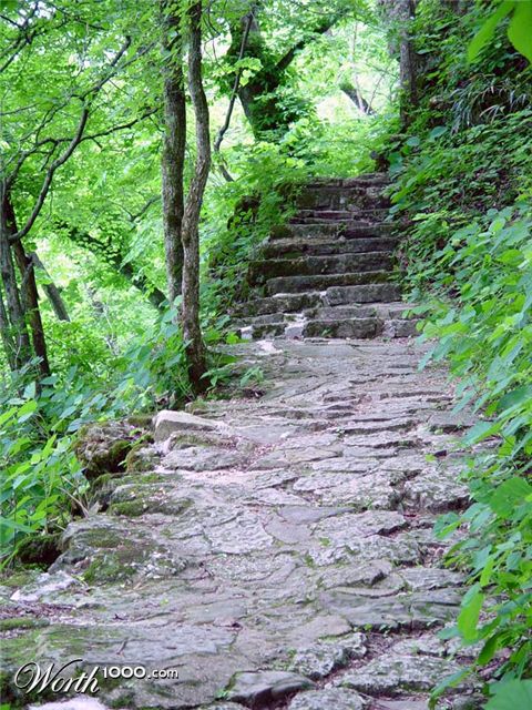 Photography by Meesch