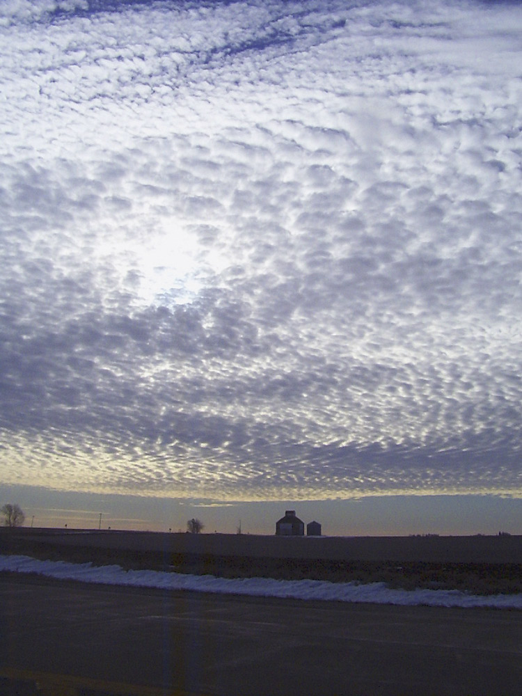 Photography by revdave33 for DesignCrowd (Community Contests) | Design #9048959