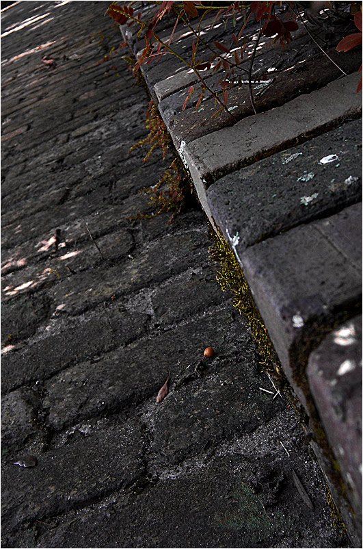 Photography by Scuzem for DesignCrowd (Community Contests) | Design #9061233