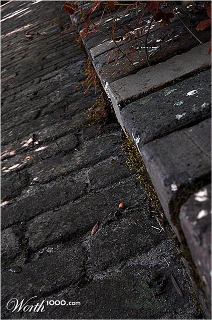 Photography by Scuzem