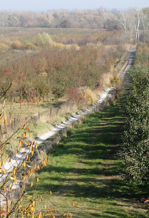 Fotografie von mzmzmzmz für DesignCrowd (Community Contests) | Design #9061183