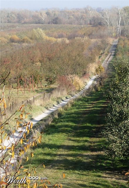 Photography by mzmzmzmz