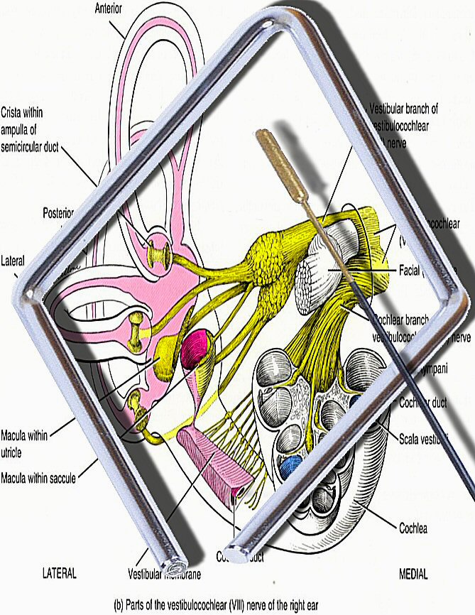 Diseño de Photoshop por Juicer para DesignCrowd (Community Contests) | Diseño #9059472