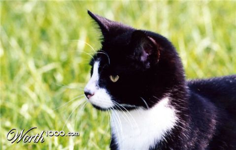 Photography by Larah McElroy