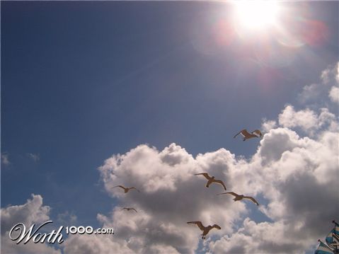 Photography by donebyilu