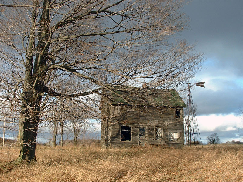 Photography by myopicglimpse for DesignCrowd (Community Contests) | Design #9070136