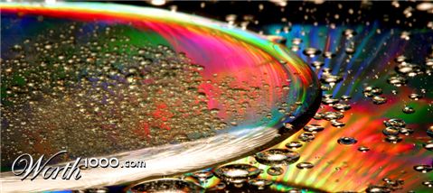 Photography by Cygnus