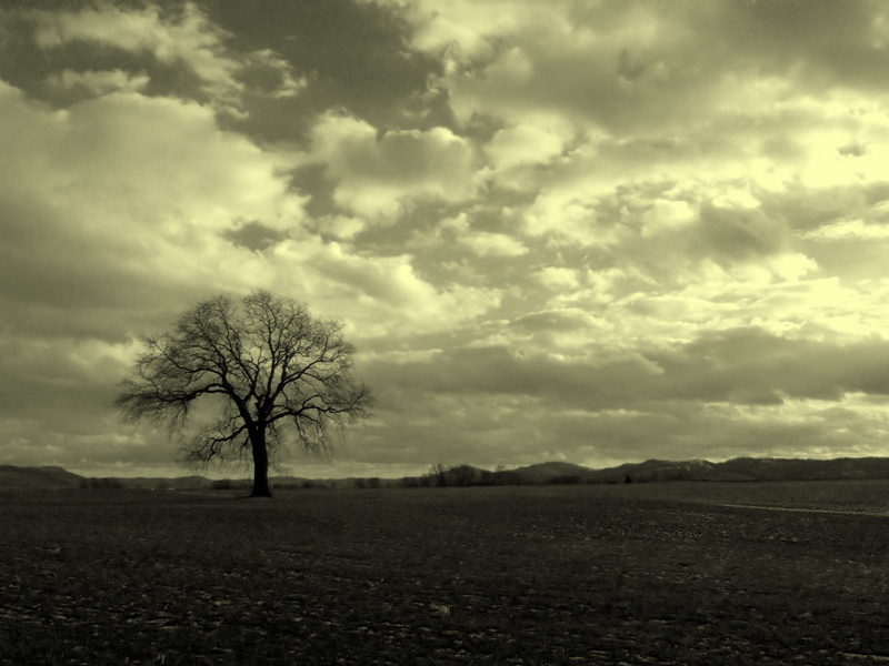 Photographie par nedens pour DesignCrowd (Community Contests) | Design #9049010