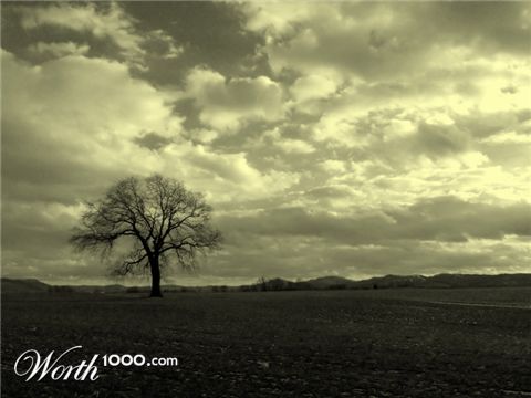 Photography by nedens