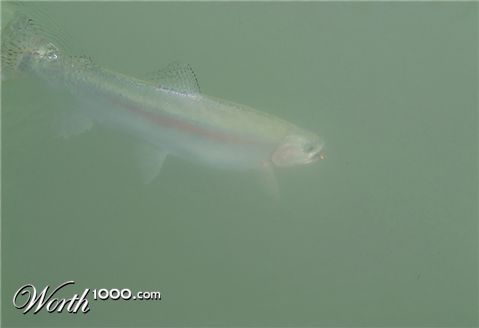 Photography by whlutz