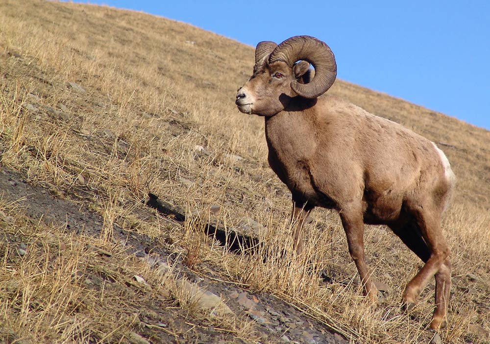 Photographie par whlutz pour DesignCrowd (Community Contests) | Design #9049040