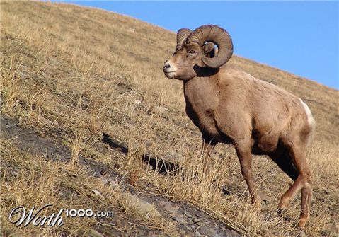 Photography by whlutz