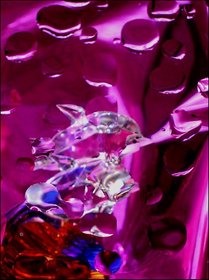 Fotografía por Isabella2006 para DesignCrowd (Community Contests) | Diseño #9051952