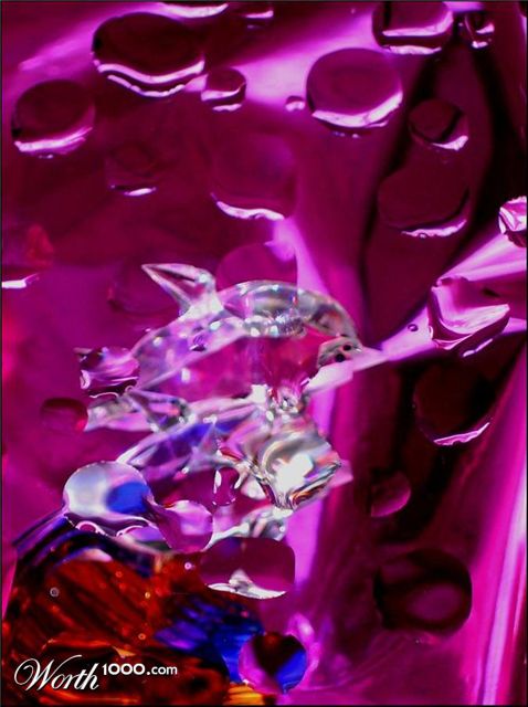 Photography by Isabella2006