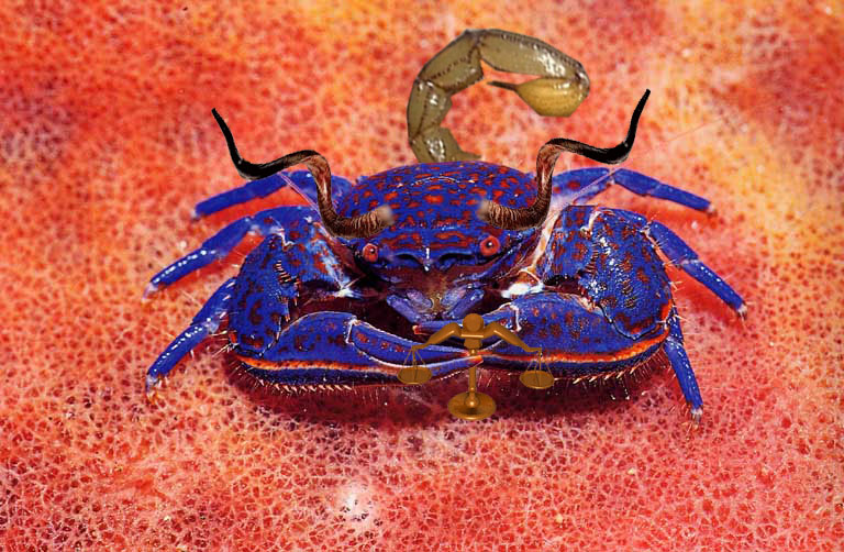 Design Photoshop par aff1993 pour DesignCrowd (Community Contests) | Design #9059379