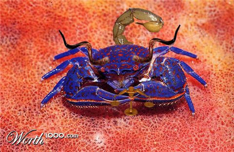 Photoshop Design by aff1993