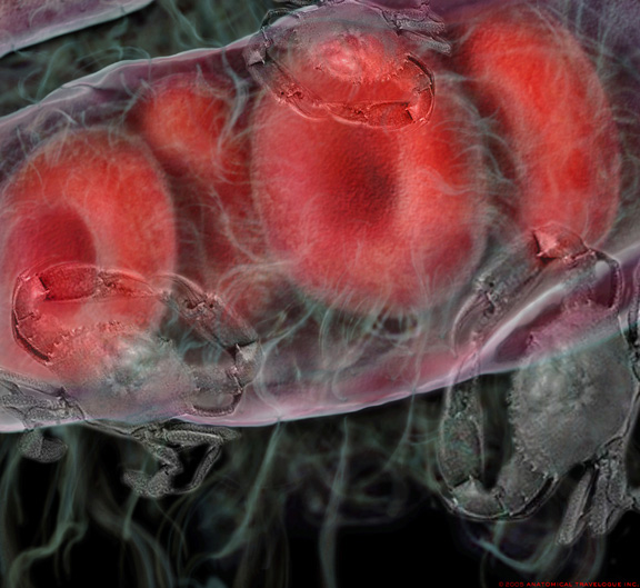 Photoshop Design by mattbyng for DesignCrowd (Community Contests) | Design #9059385