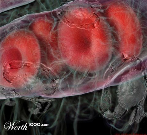 Photoshop Design by mattbyng