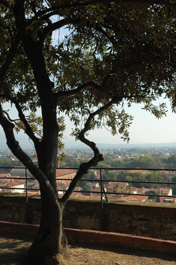 Photography by bvanderhofstede for DesignCrowd (Community Contests) | Design #9049052