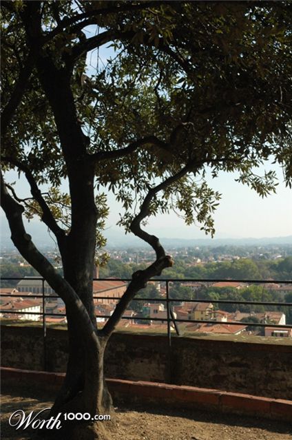 Photography by bvanderhofstede