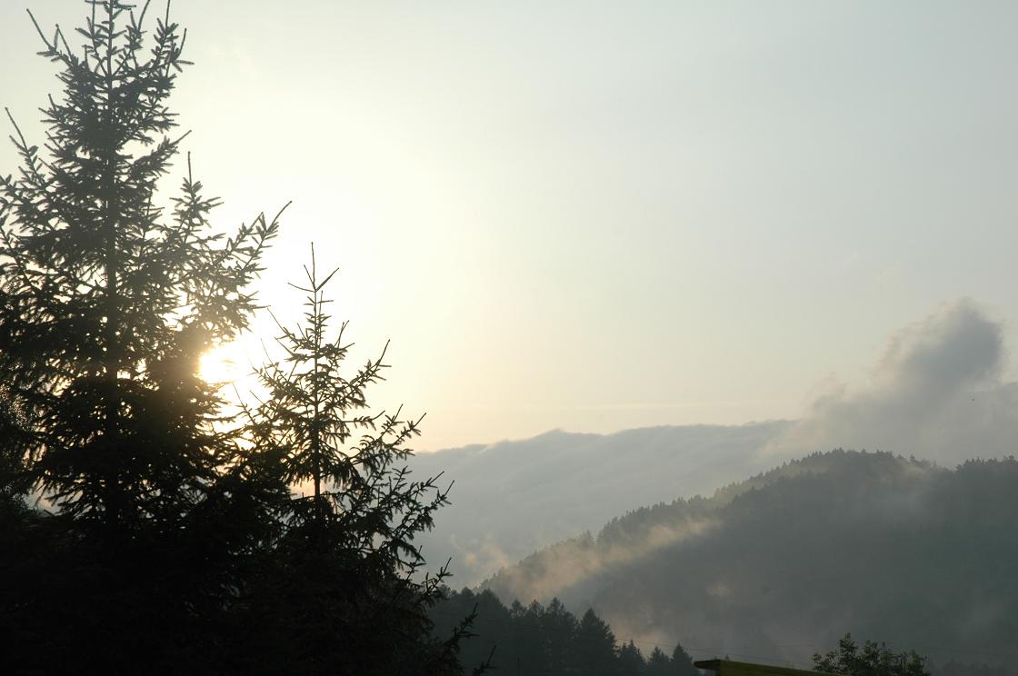 Fotografía por RealArt para DesignCrowd (Community Contests) | Diseño #9049067