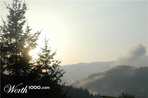 Photography by RealArt