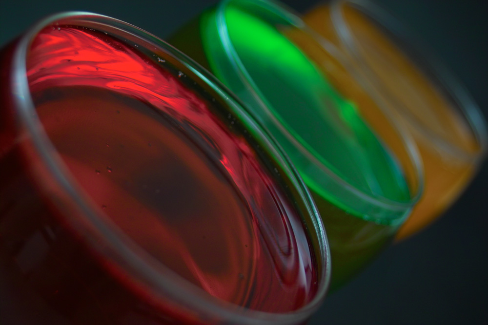 Photography by lynvdg for DesignCrowd (Community Contests) | Design #9060879