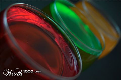 Photography by lynvdg