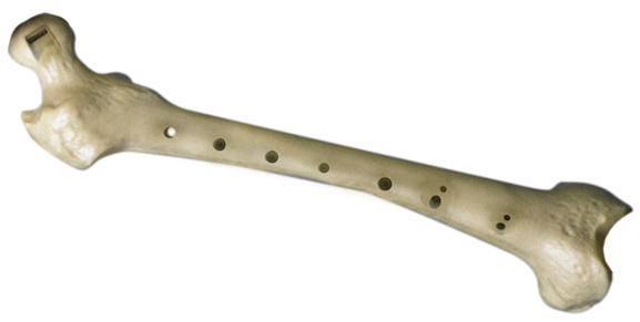 Design Photoshop par HeatherB pour DesignCrowd (Community Contests) | Design #9059589