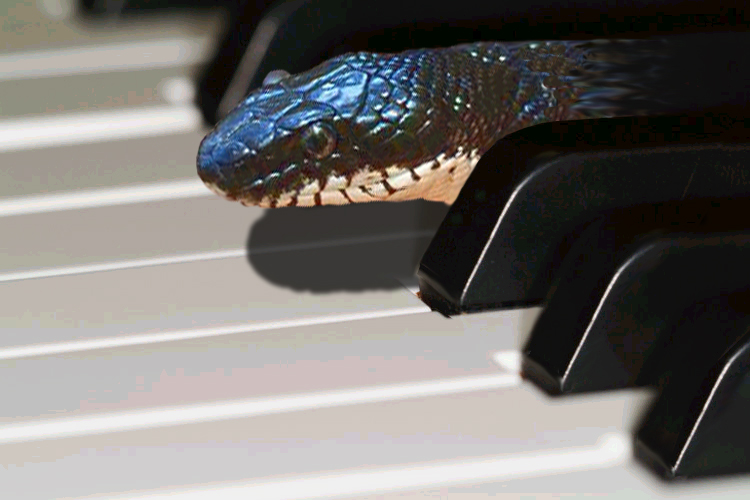 Diseño de Photoshop por pgaffney para DesignCrowd (Community Contests) | Diseño #9059636