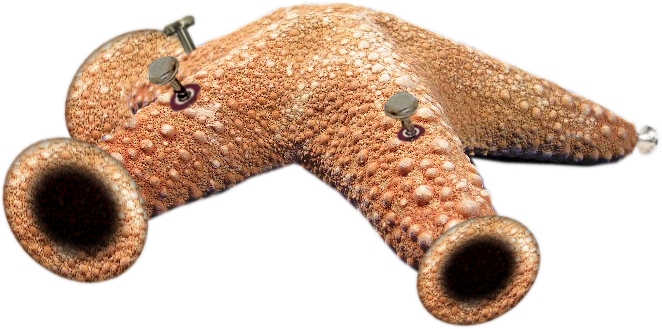 Photoshop Design by Kryptomaniacle for DesignCrowd (Community Contests) | Design #9059624