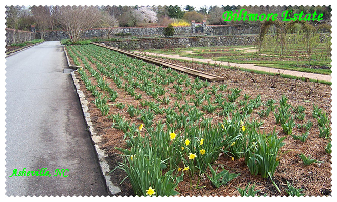 Fotografie von jebaber13 für DesignCrowd (Community Contests) | Design #9056569