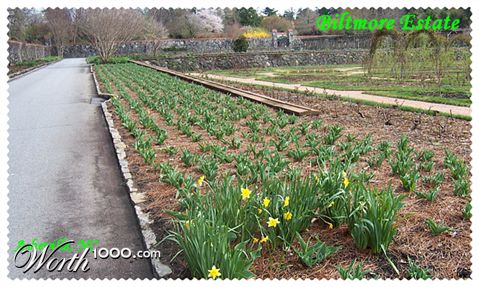 Photography by jebaber13