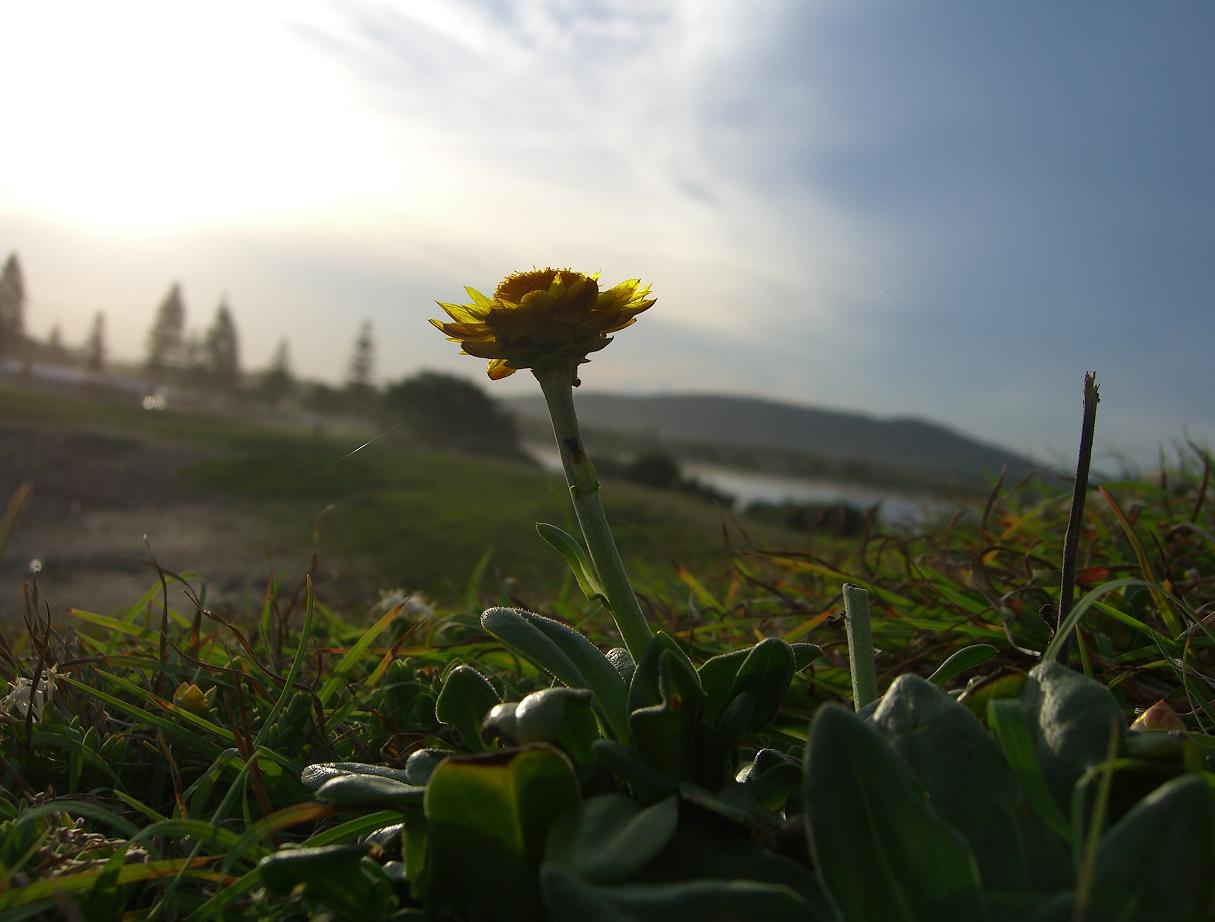 Photographie par Deanis pour DesignCrowd (Community Contests) | Design #9048992