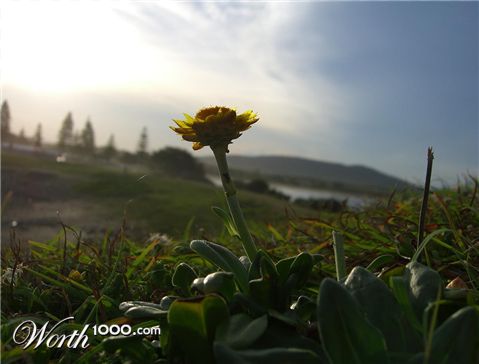 Photography by Deanis