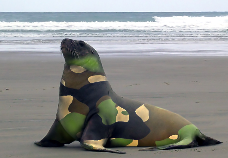 Photoshop Design by wagnerm25 for DesignCrowd (Community Contests) | Design #9068264