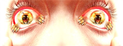 Photoshop Design by dfr0st