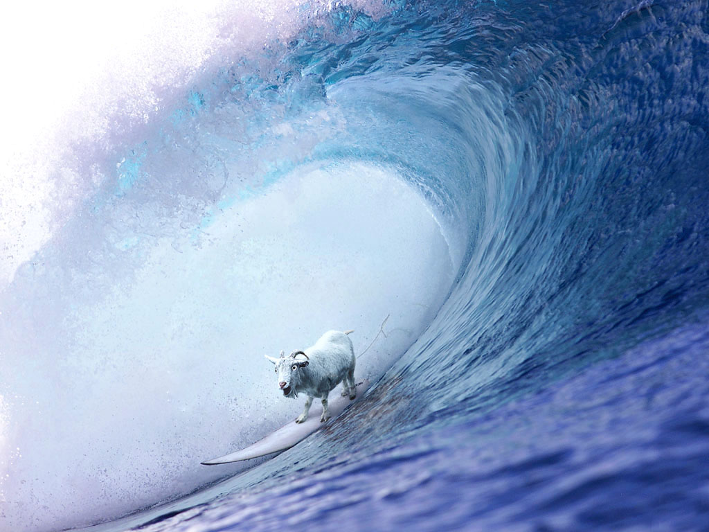 Diseño de Photoshop por britown para DesignCrowd (Community Contests) | Diseño #9059485