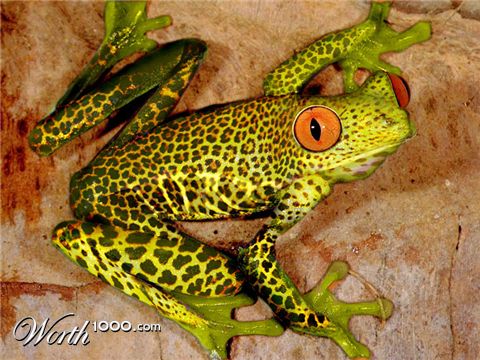 Photoshop Design by MarkusBCS