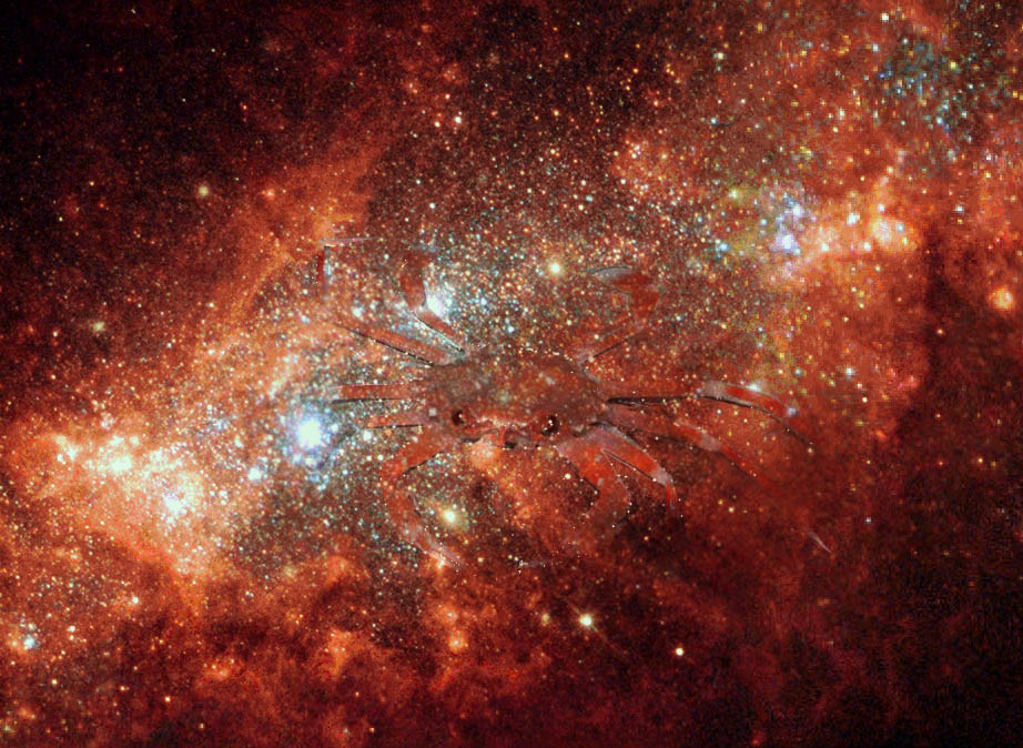 Diseño de Photoshop por funky123 para DesignCrowd (Community Contests) | Diseño #9059468