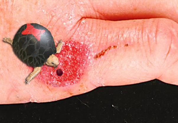 Diseño de Photoshop por pgaffney para DesignCrowd (Community Contests) | Diseño #9068296