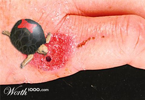 Photoshop Design by pgaffney