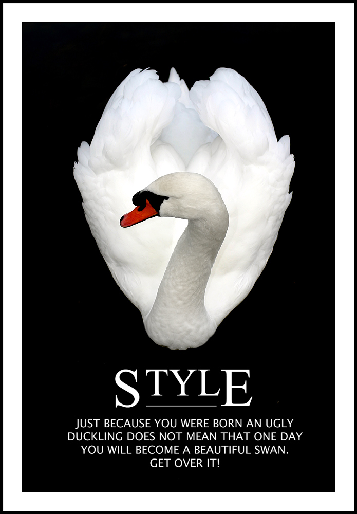 Photography by SigloV for DesignCrowd (Community Contests) | Design #9058400