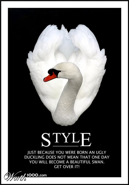 Photography by SigloV