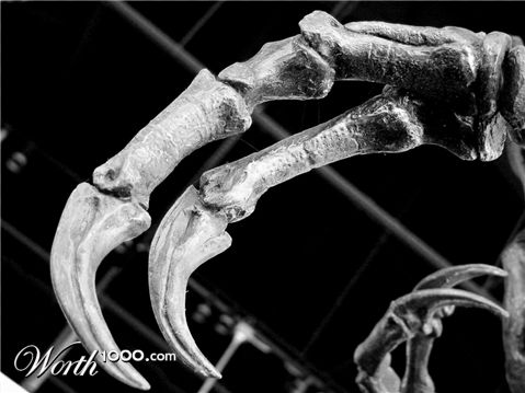 Photography by mennufer
