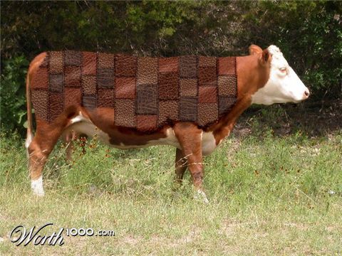 Photoshop Design by JClark8220