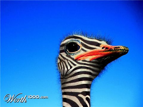 Photoshop Design by maix25sib