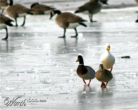 Photography by kmckendry
